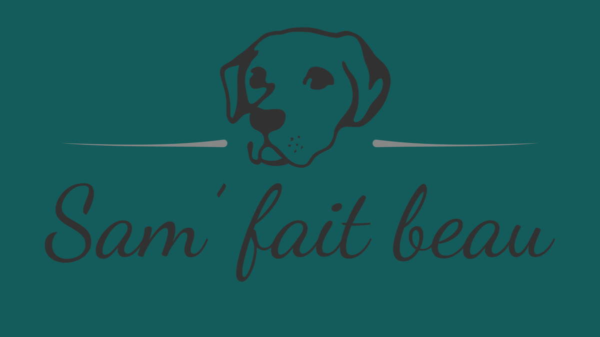 Logo toilettage pour chien Gembloux